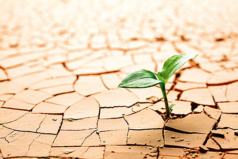 resiliencia